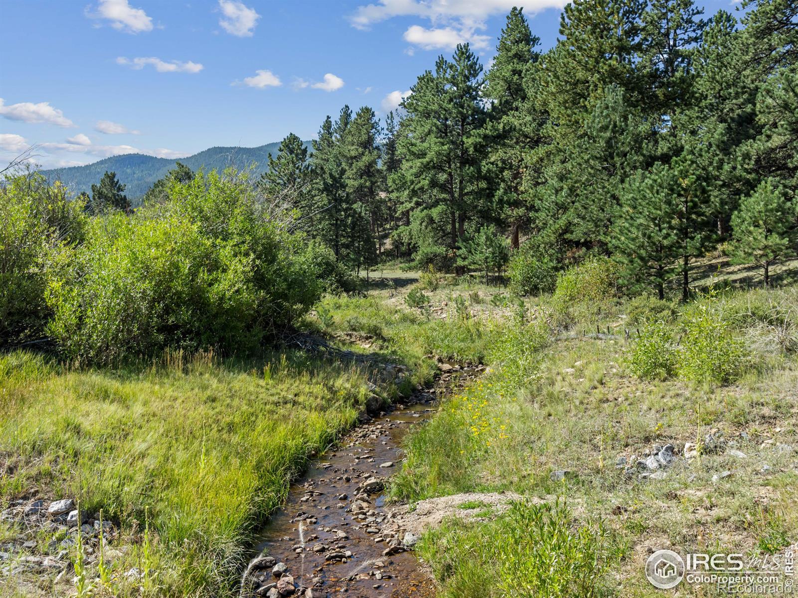 MLS Image #18 for 2700  wildwood drive,estes park, Colorado