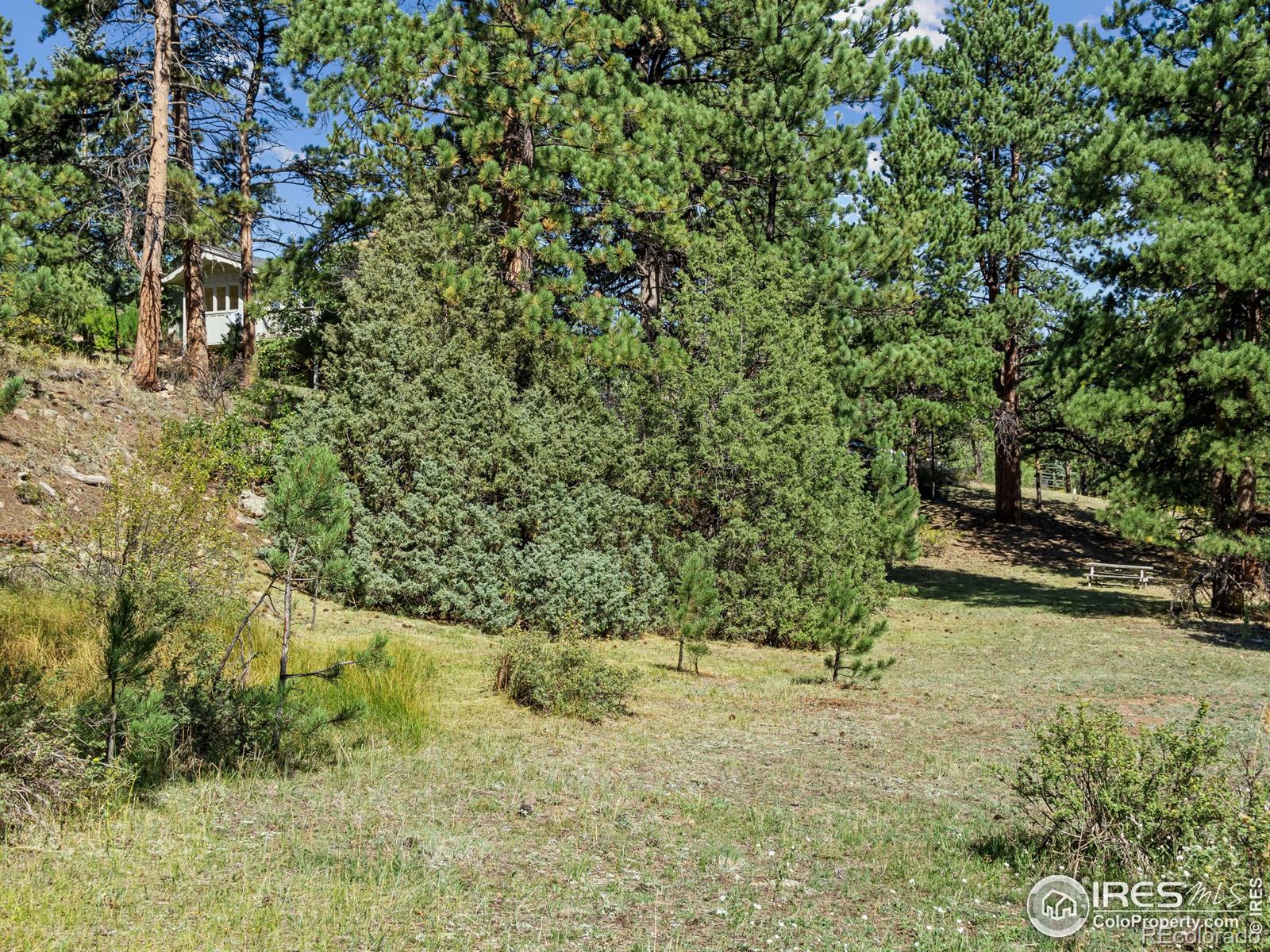 MLS Image #3 for 2700  wildwood drive,estes park, Colorado