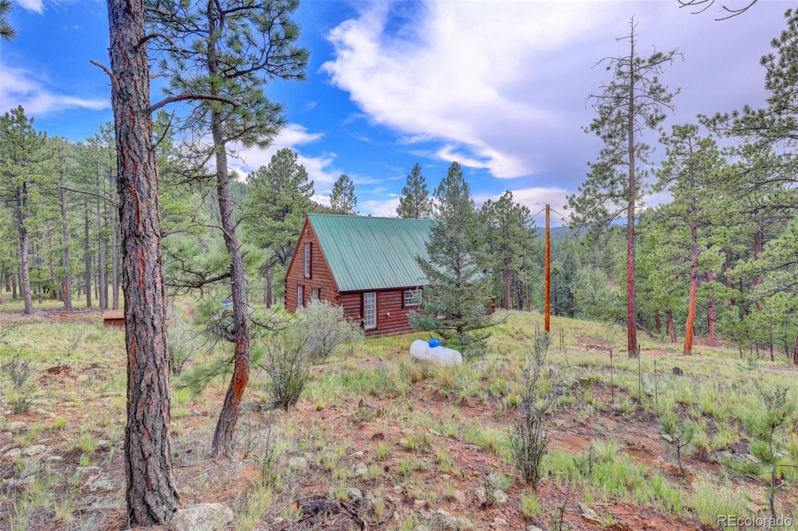 MLS Image #3 for 10725  box canyon rd ,weston, Colorado