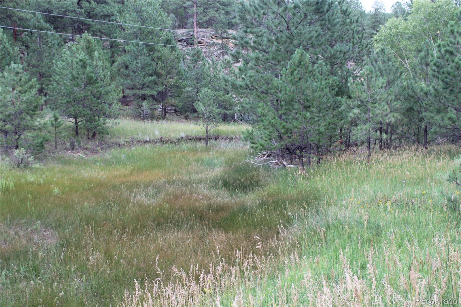 MLS Image #46 for 10725  box canyon rd ,weston, Colorado