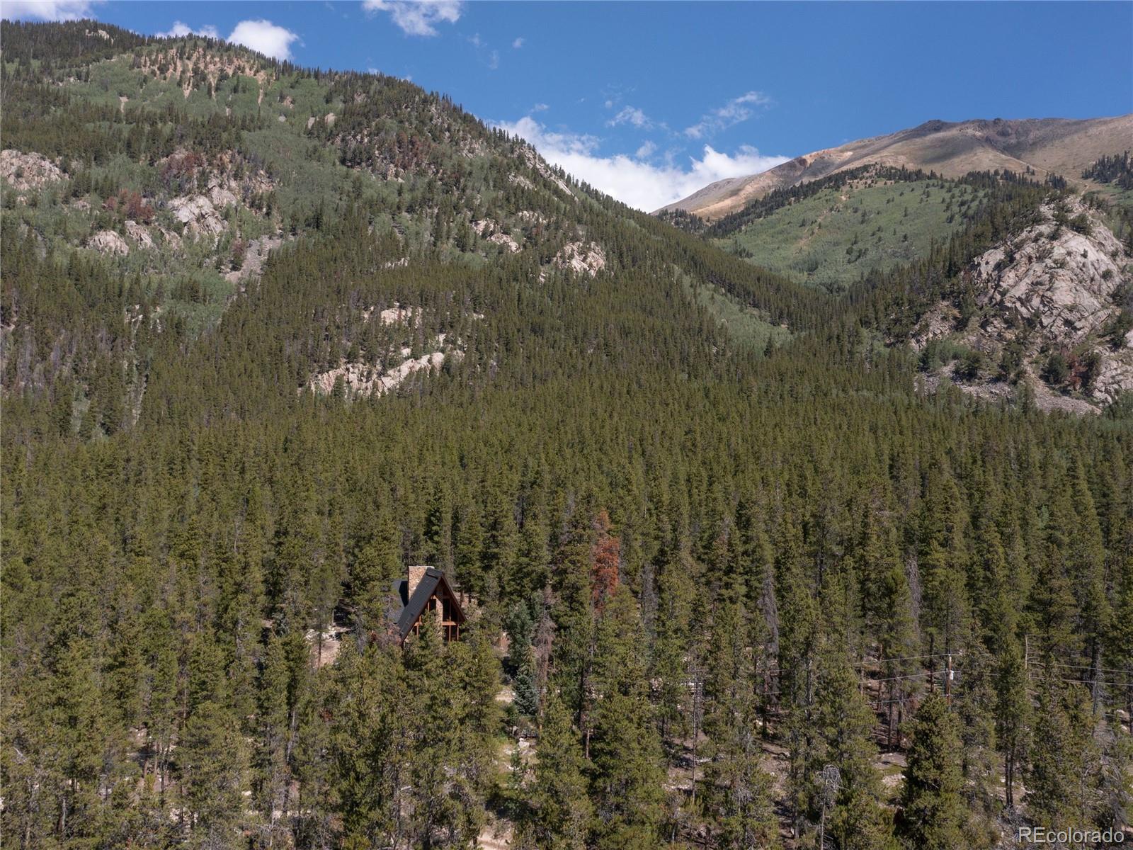 MLS Image #29 for 12715 e state highway 82 ,twin lakes, Colorado