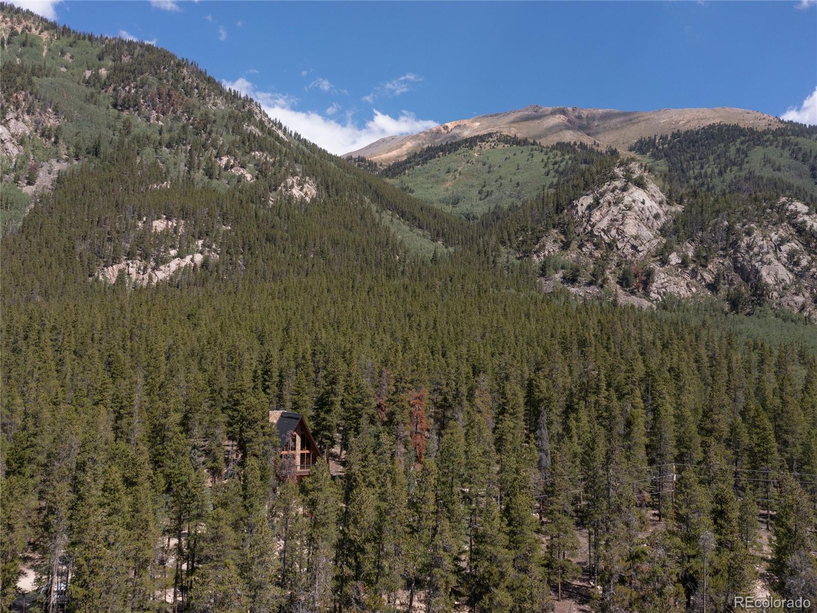 MLS Image #30 for 12715 e state highway 82 ,twin lakes, Colorado