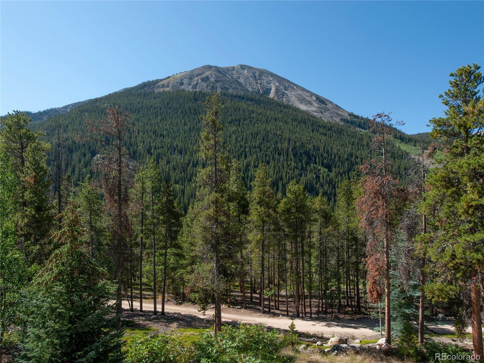 MLS Image #38 for 12715 e state highway 82 ,twin lakes, Colorado