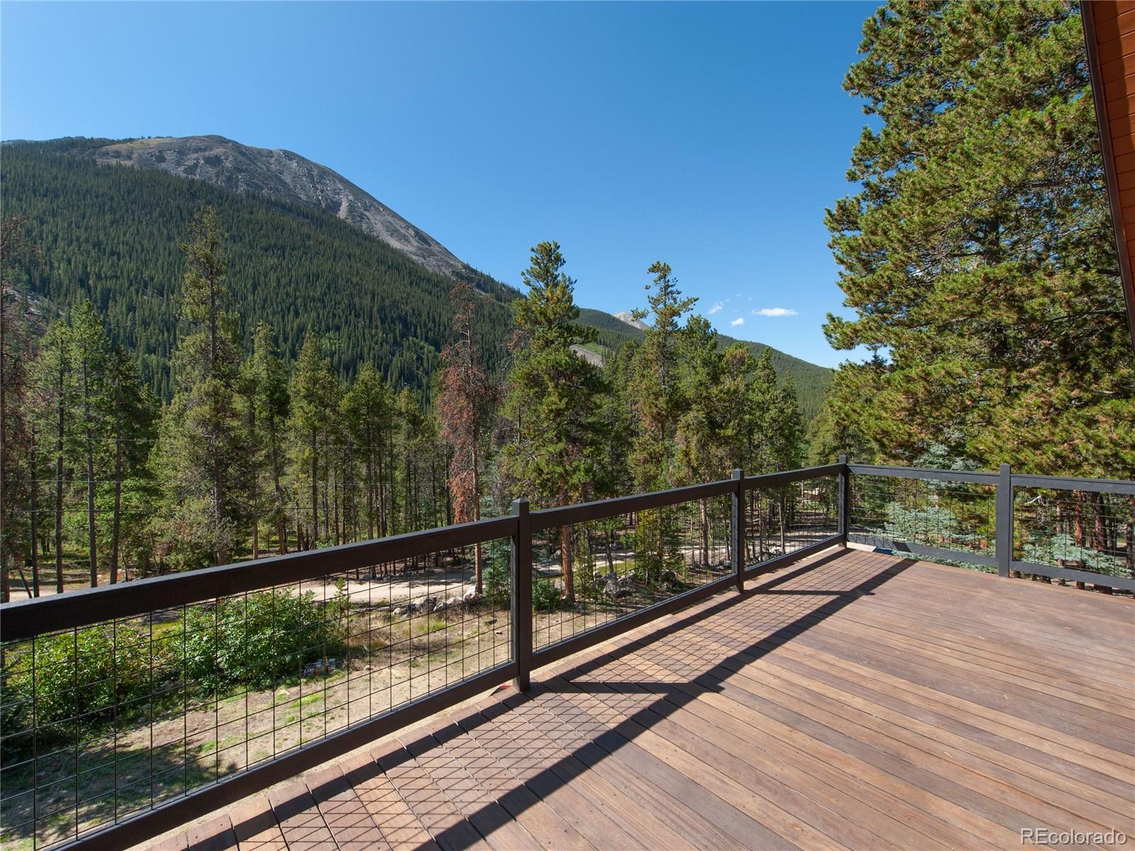 MLS Image #39 for 12715 e state highway 82 ,twin lakes, Colorado