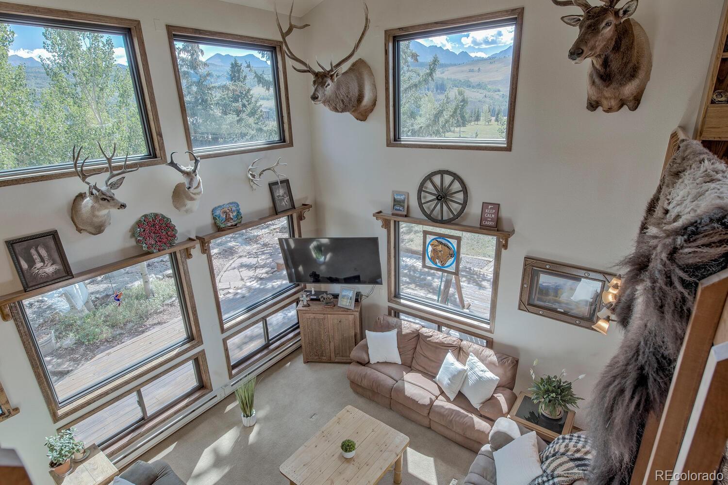 MLS Image #10 for 311  longs road,silverthorne, Colorado