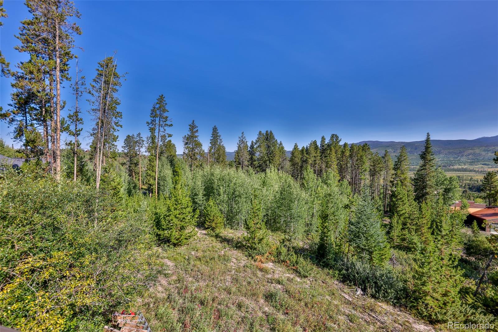 MLS Image #41 for 158  gcr 808 ,fraser, Colorado