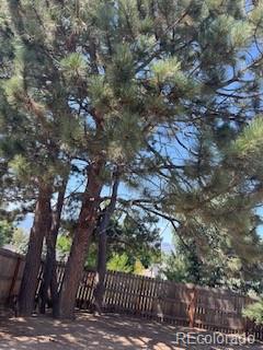 MLS Image #5 for 4504  bell flower drive,colorado springs, Colorado