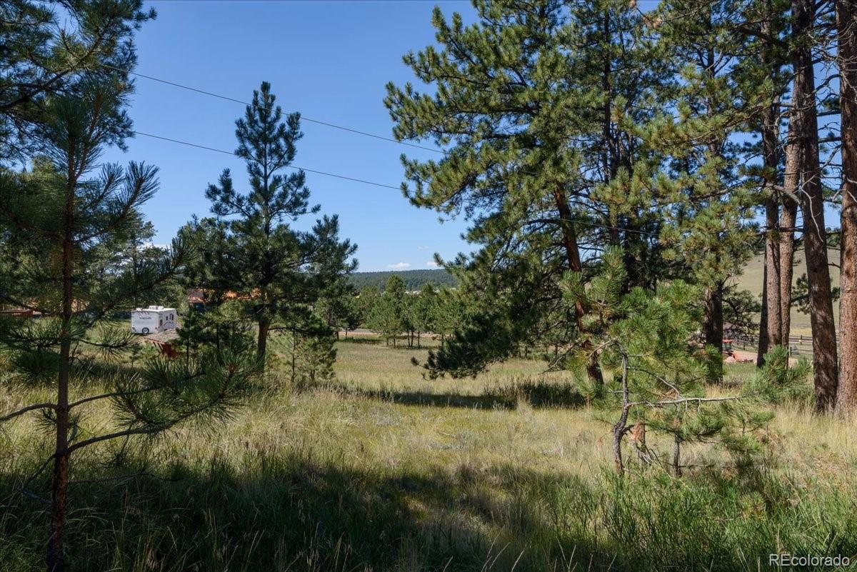 MLS Image #4 for 54  arrowhead lane,florissant, Colorado