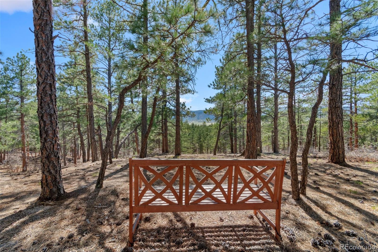 MLS Image #44 for 5090 s perry park road,sedalia, Colorado