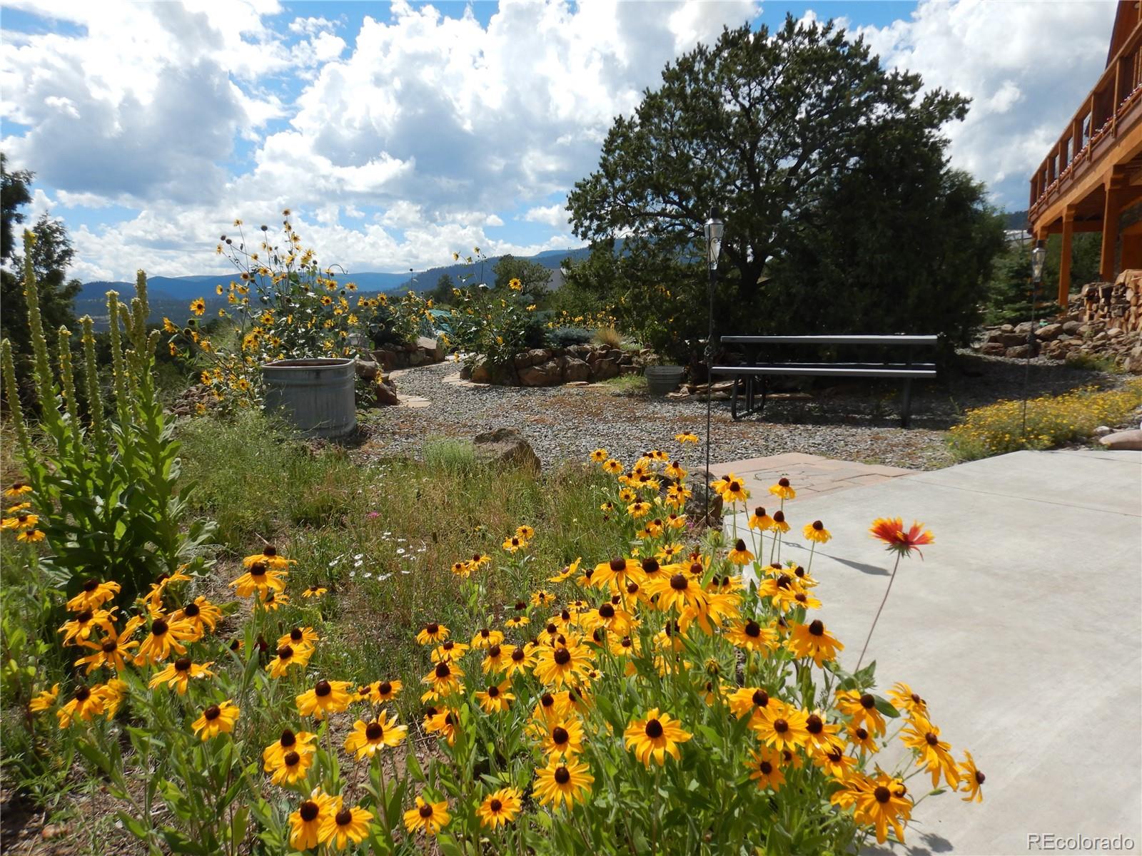 MLS Image #3 for 461  vista de verde circle,south fork, Colorado