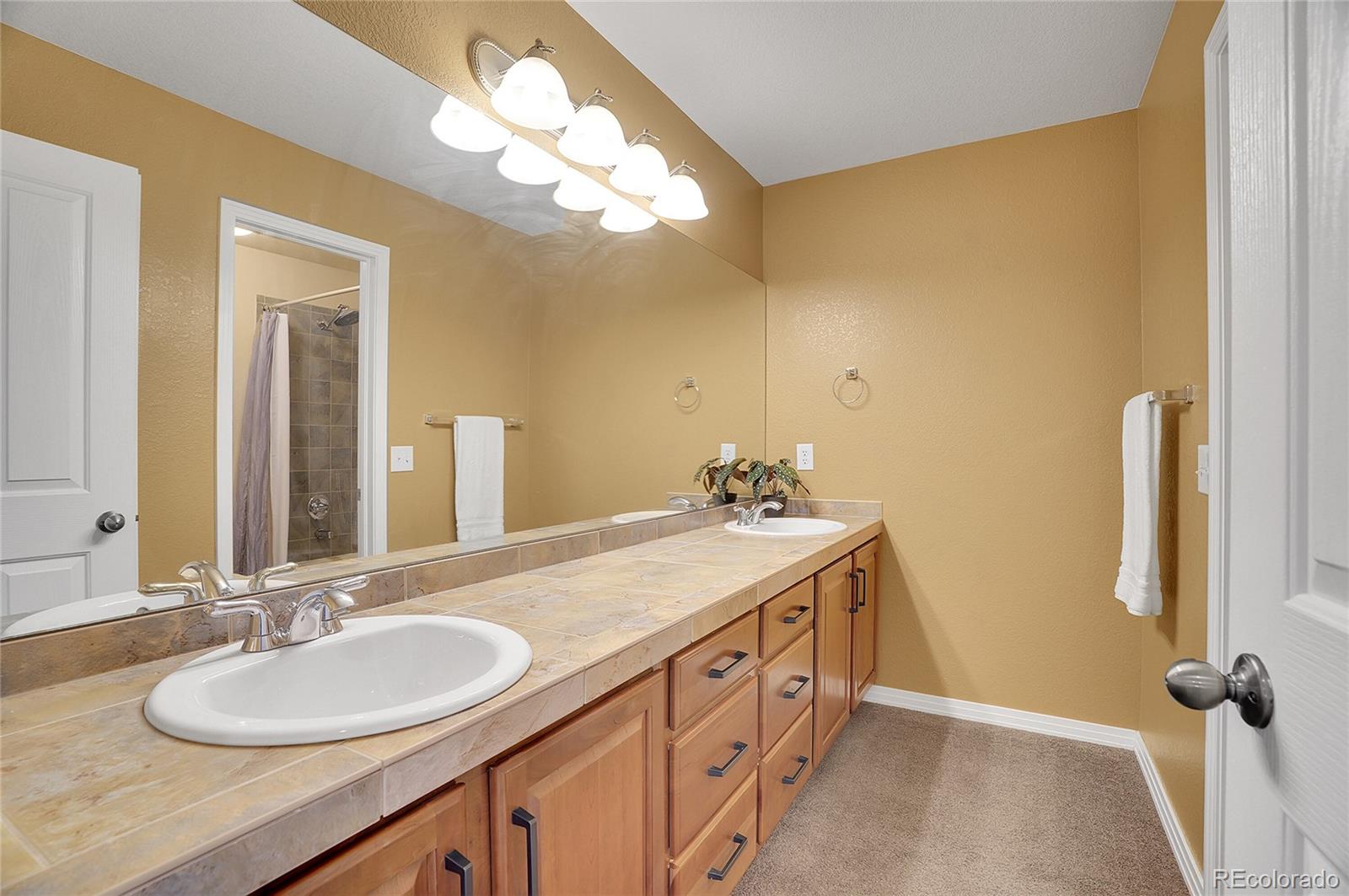 MLS Image #29 for 14200  lakeview lane,broomfield, Colorado