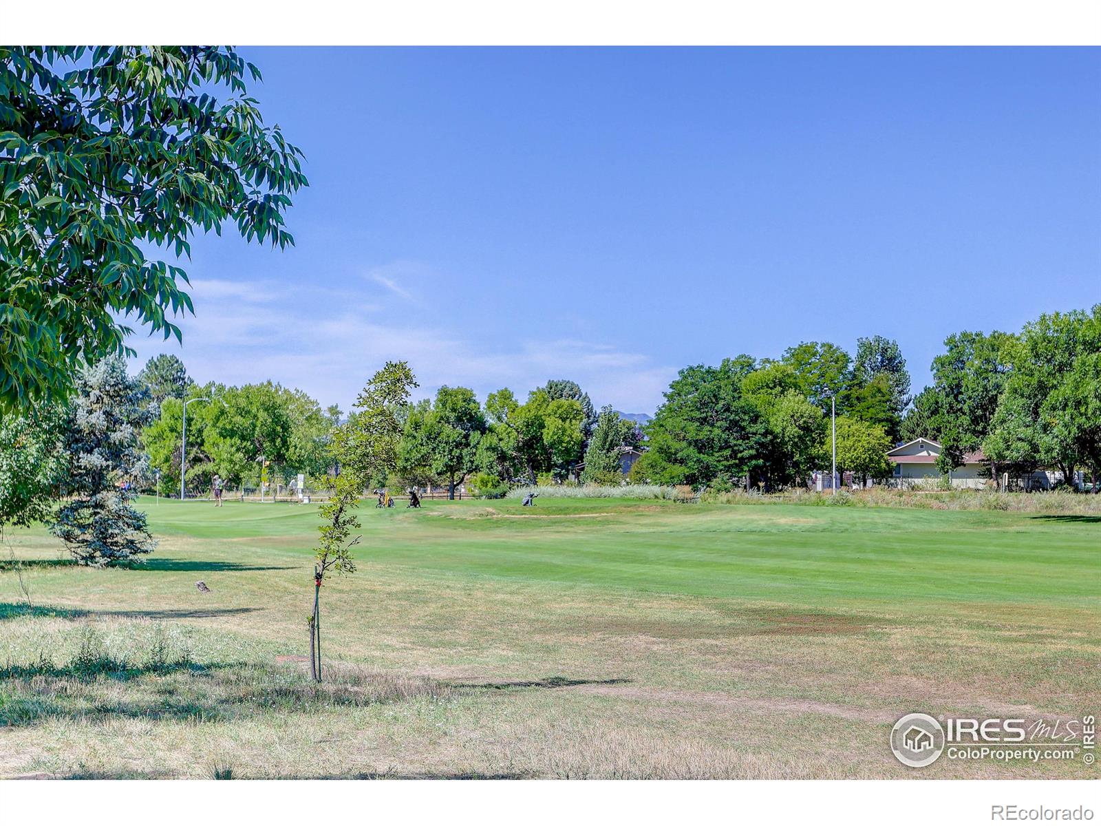 MLS Image #38 for 114 e 14th court,broomfield, Colorado