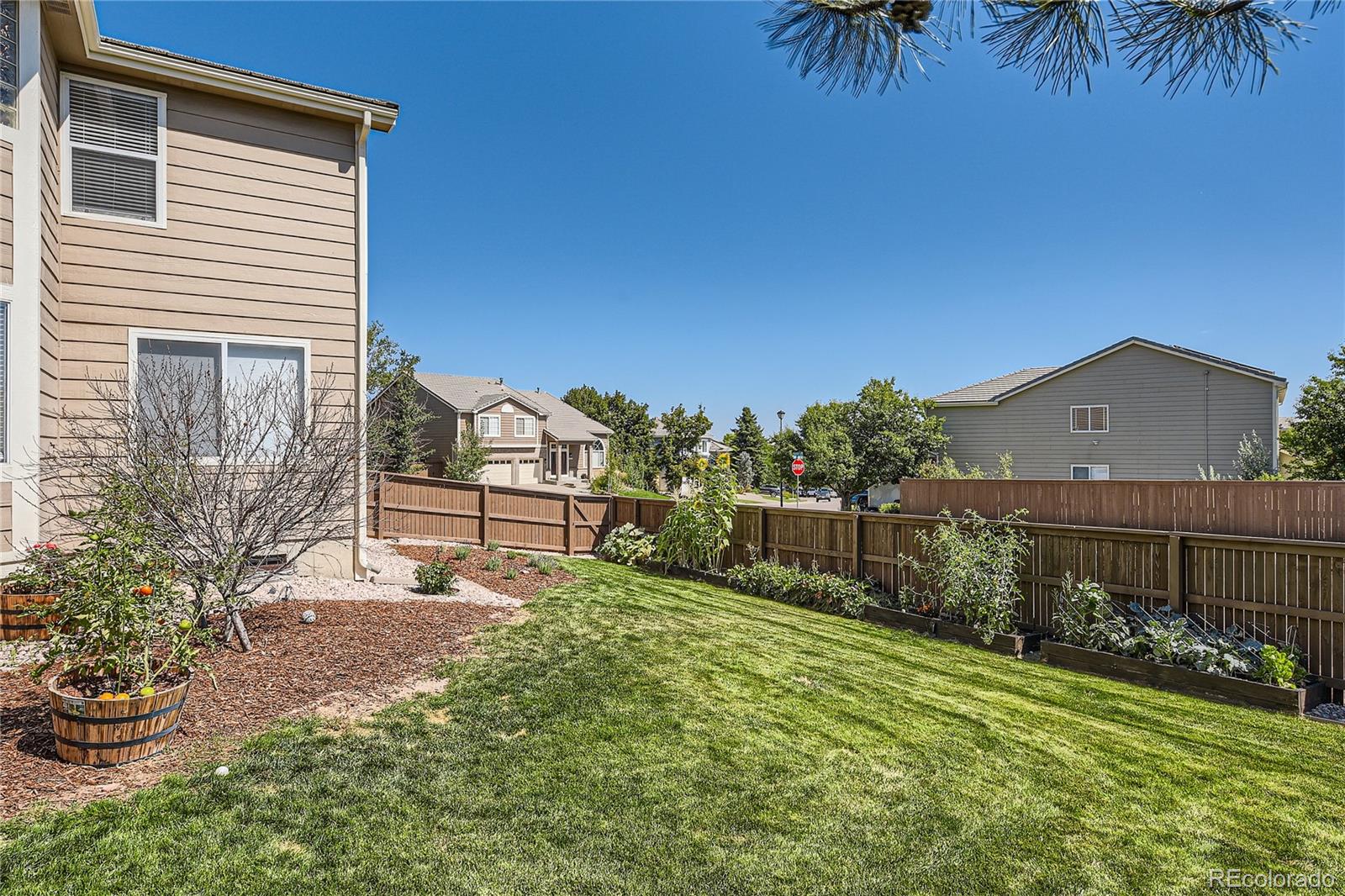 MLS Image #45 for 2976  clairton drive,highlands ranch, Colorado