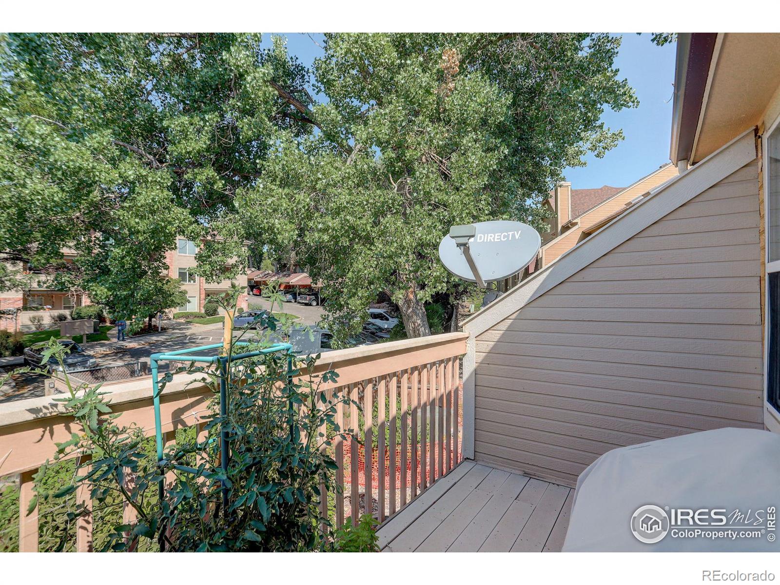 MLS Image #24 for 175  pheasant run,louisville, Colorado