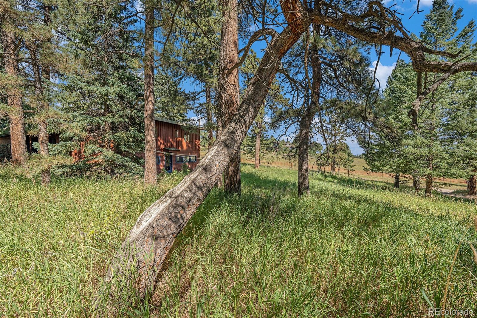 MLS Image #34 for 25558  aspen way,golden, Colorado