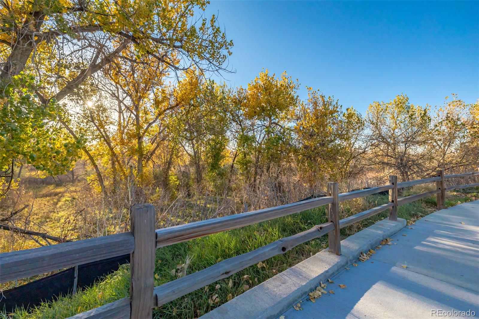 MLS Image #42 for 9291  twenty mile road,parker, Colorado