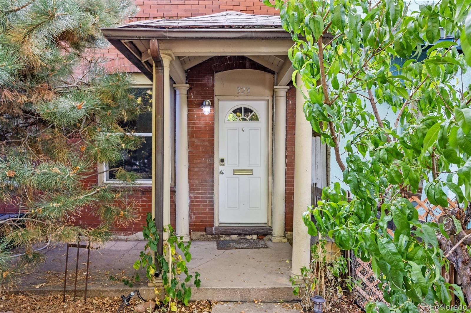 MLS Image #1 for 321-323  inca street,denver, Colorado