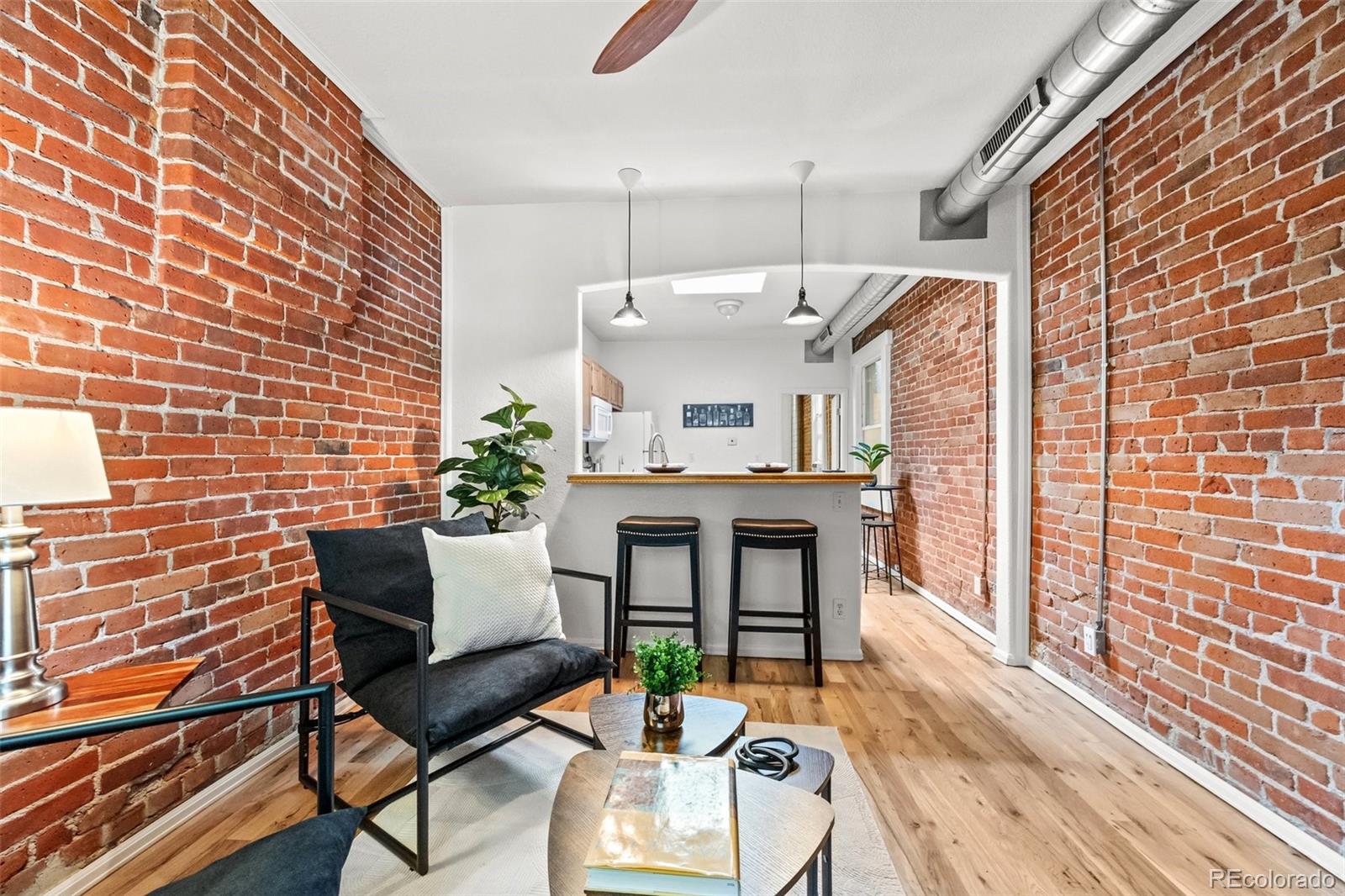 MLS Image #3 for 321-323  inca street,denver, Colorado