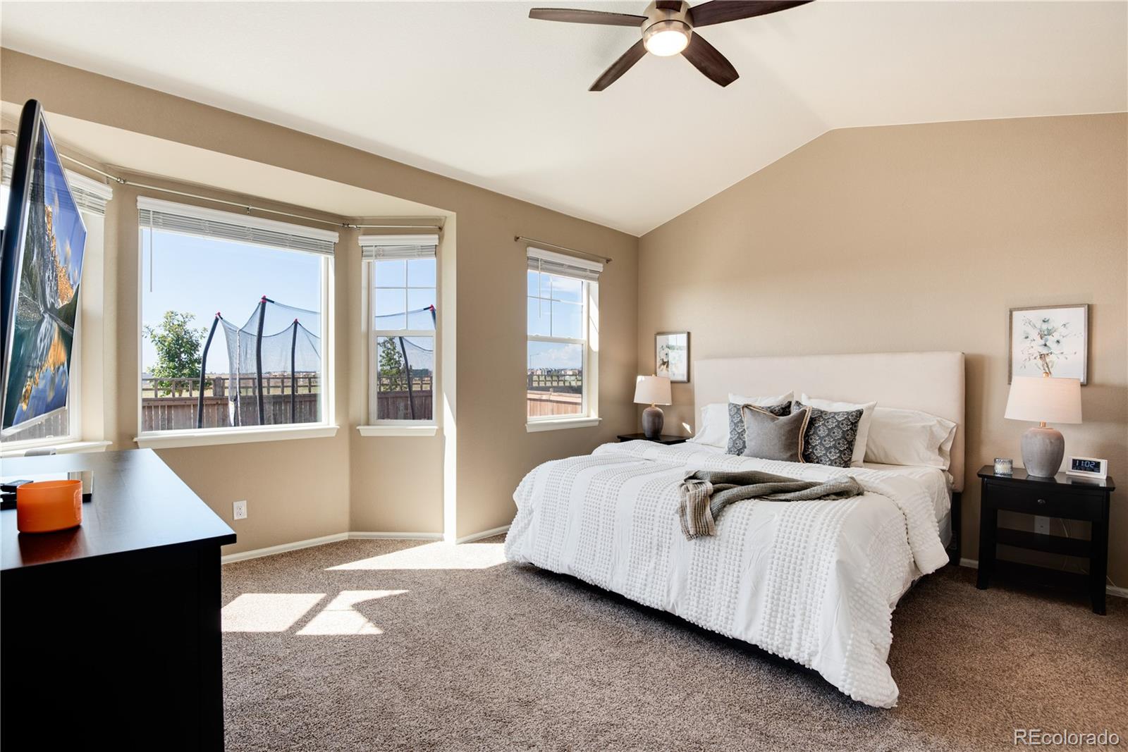 MLS Image #19 for 1220 w 170th avenue,broomfield, Colorado