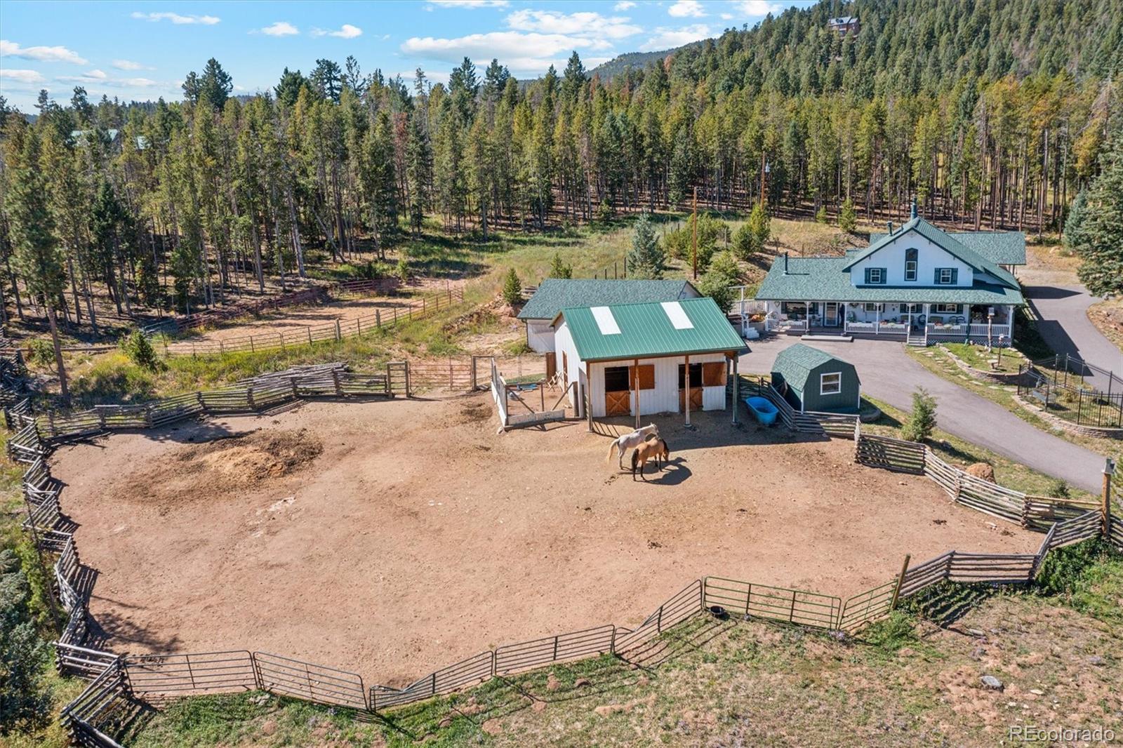 MLS Image #43 for 9981  apache spring drive,conifer, Colorado