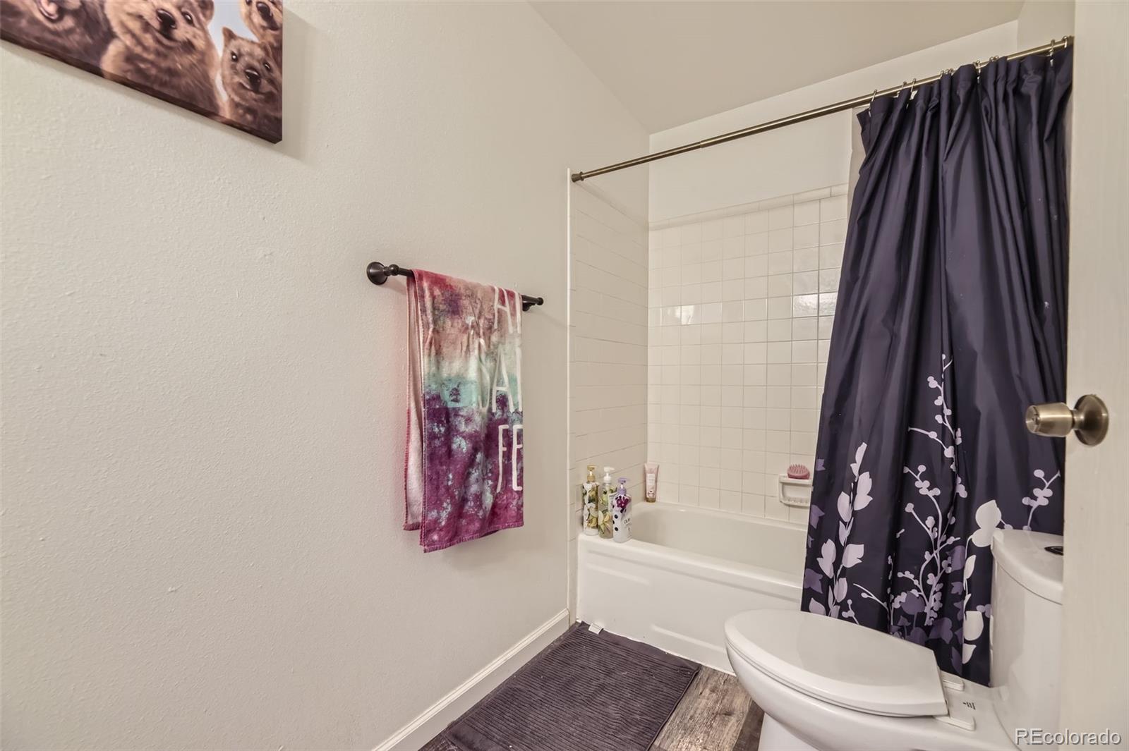 MLS Image #19 for 3451 s ammons street,lakewood, Colorado