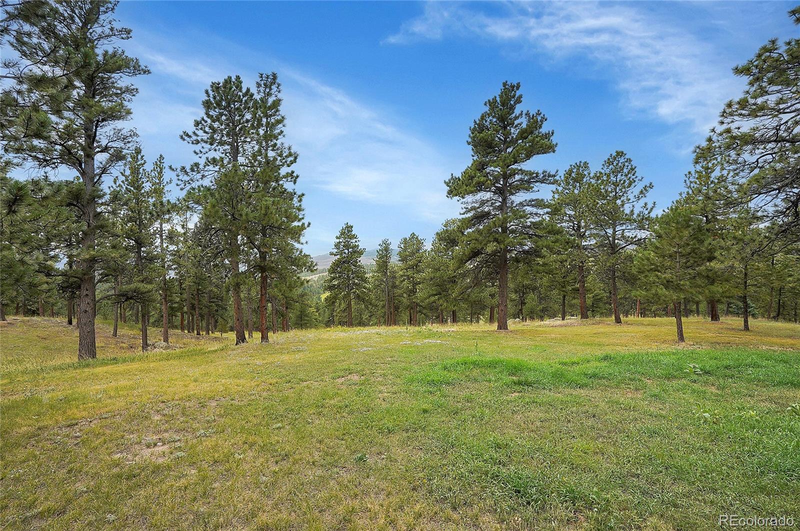 MLS Image #29 for 440  la hermosa drive,bellvue, Colorado