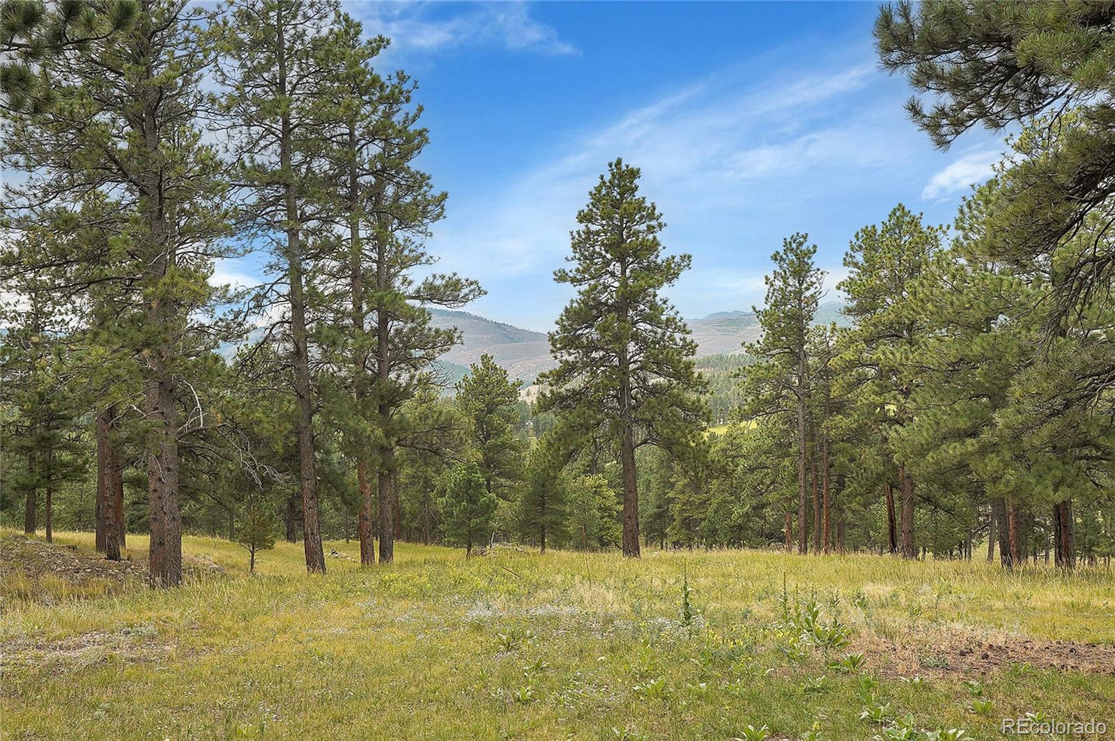 MLS Image #30 for 440  la hermosa drive,bellvue, Colorado