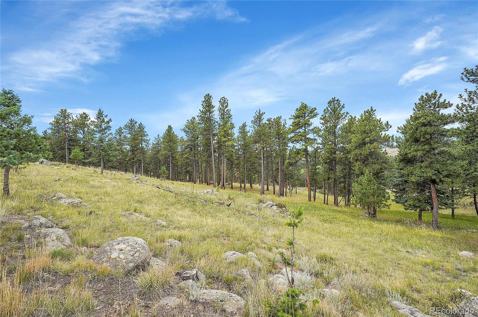 MLS Image #40 for 440  la hermosa drive,bellvue, Colorado