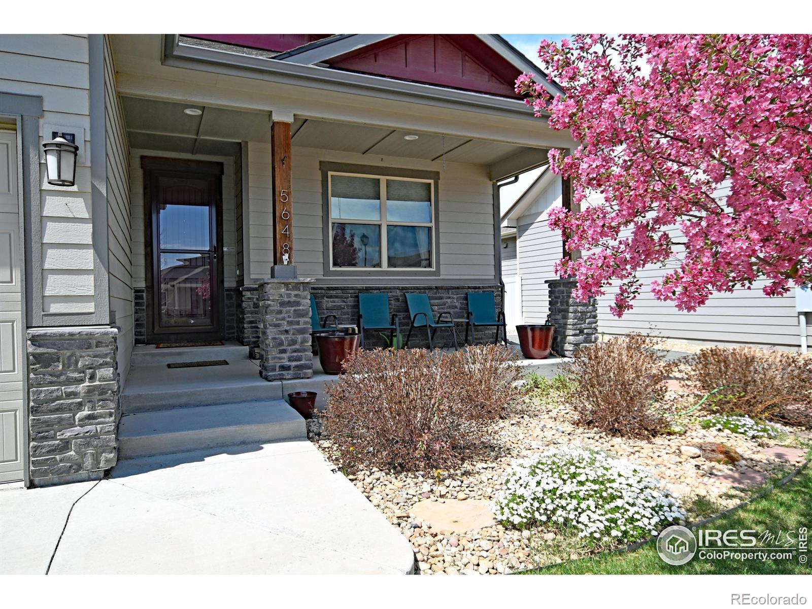 CMA Image for 5648  Clarence Drive,Windsor, Colorado