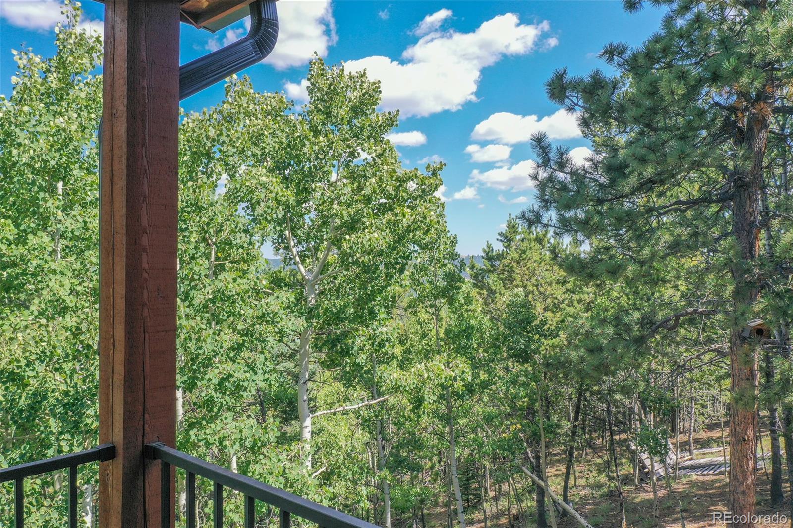 MLS Image #37 for 221  potlatch trail,woodland park, Colorado