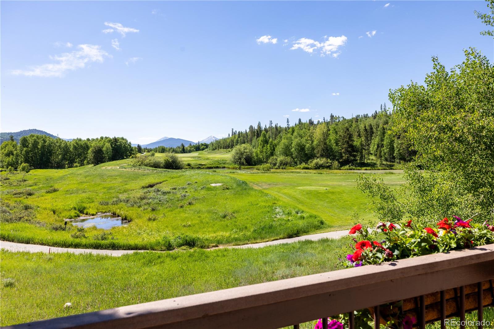 MLS Image #11 for 330  high park court,silverthorne, Colorado