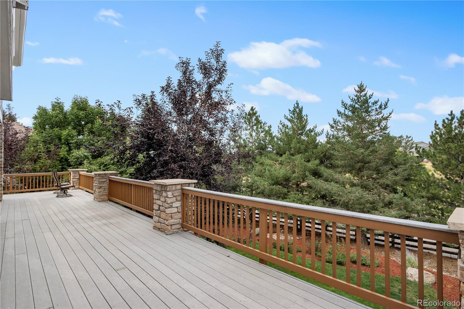 MLS Image #18 for 3544  elk run drive,castle rock, Colorado