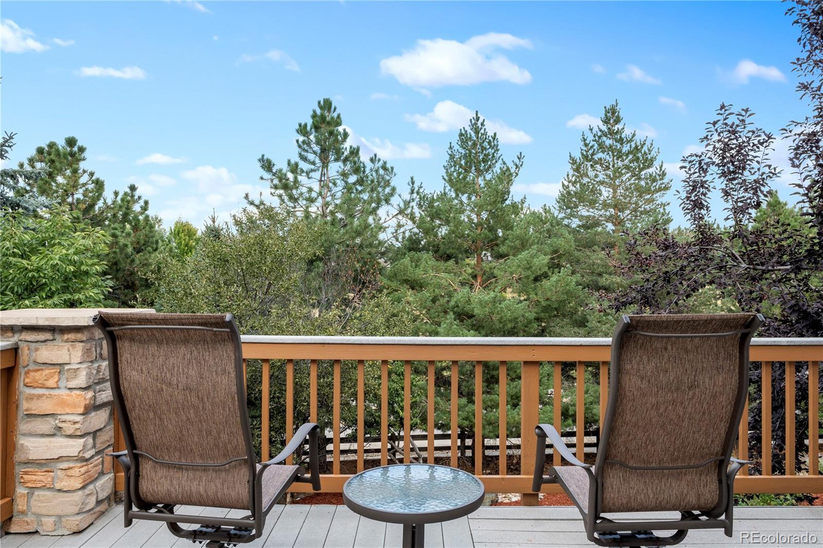 MLS Image #22 for 3544  elk run drive,castle rock, Colorado