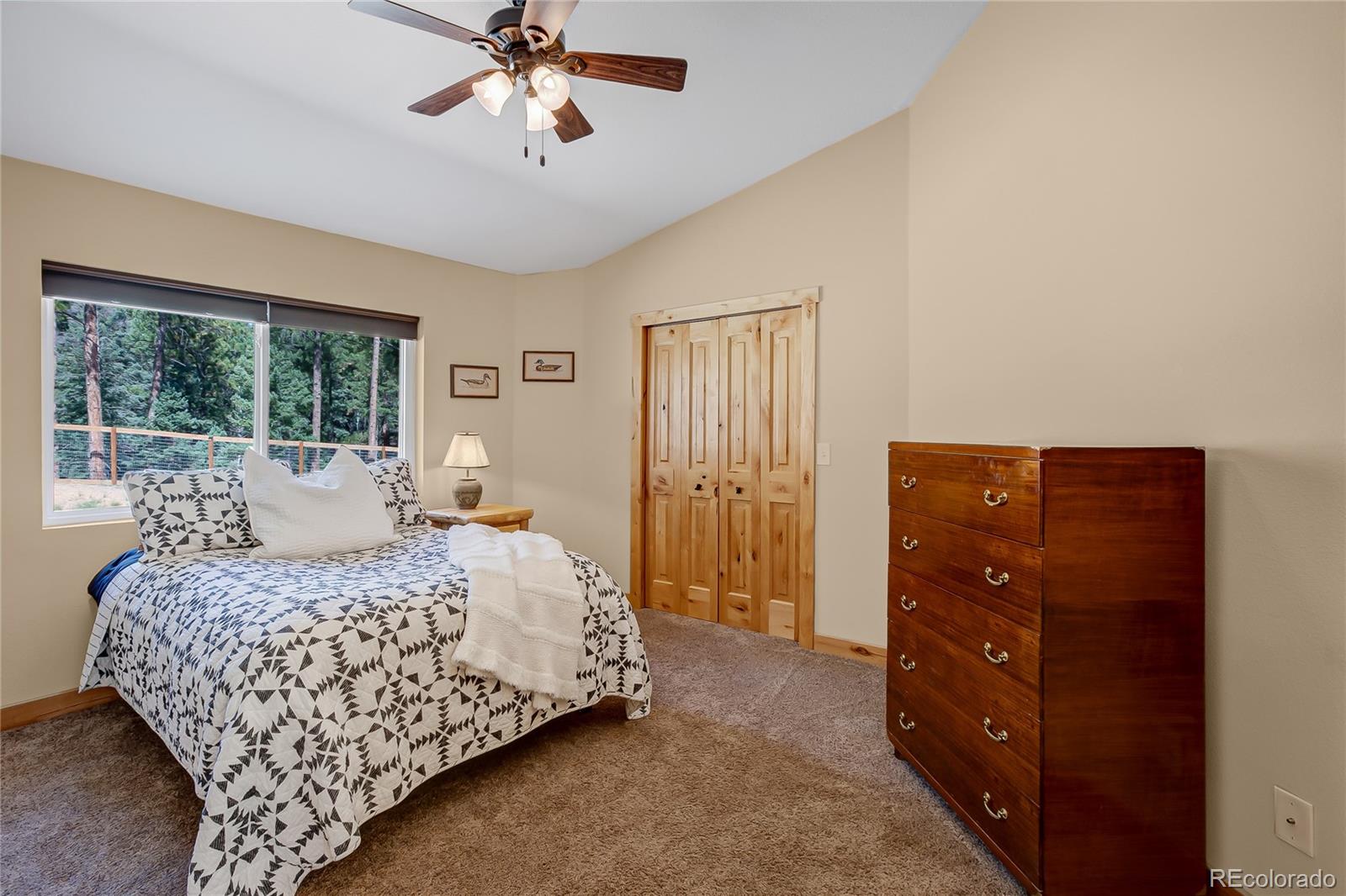 MLS Image #18 for 1076  lucky lady drive,woodland park, Colorado