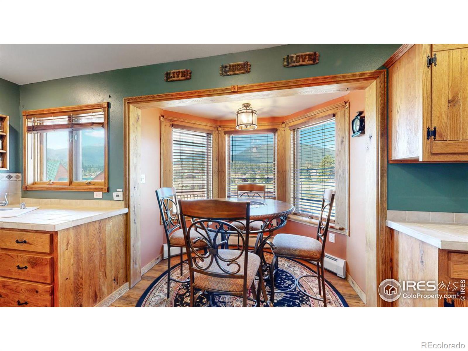 MLS Image #9 for 259  solomon drive,estes park, Colorado