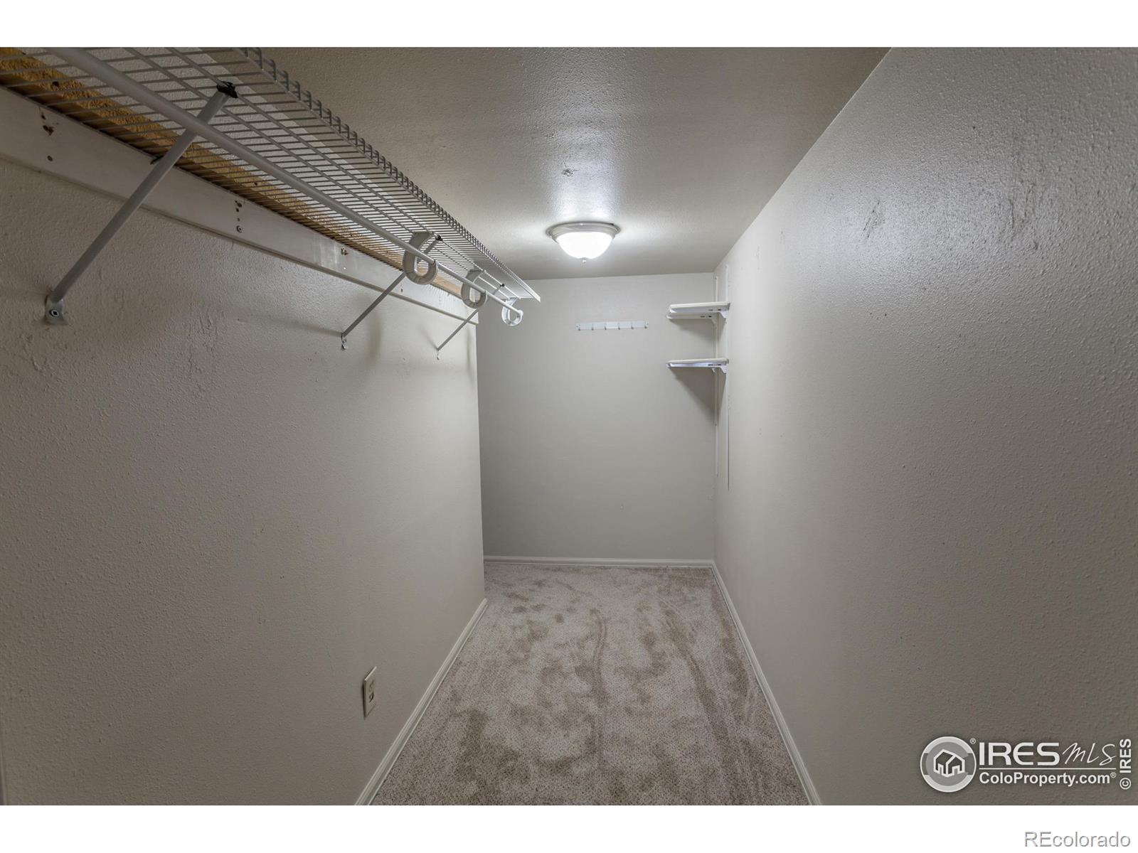 MLS Image #26 for 1615  underhill drive,fort collins, Colorado