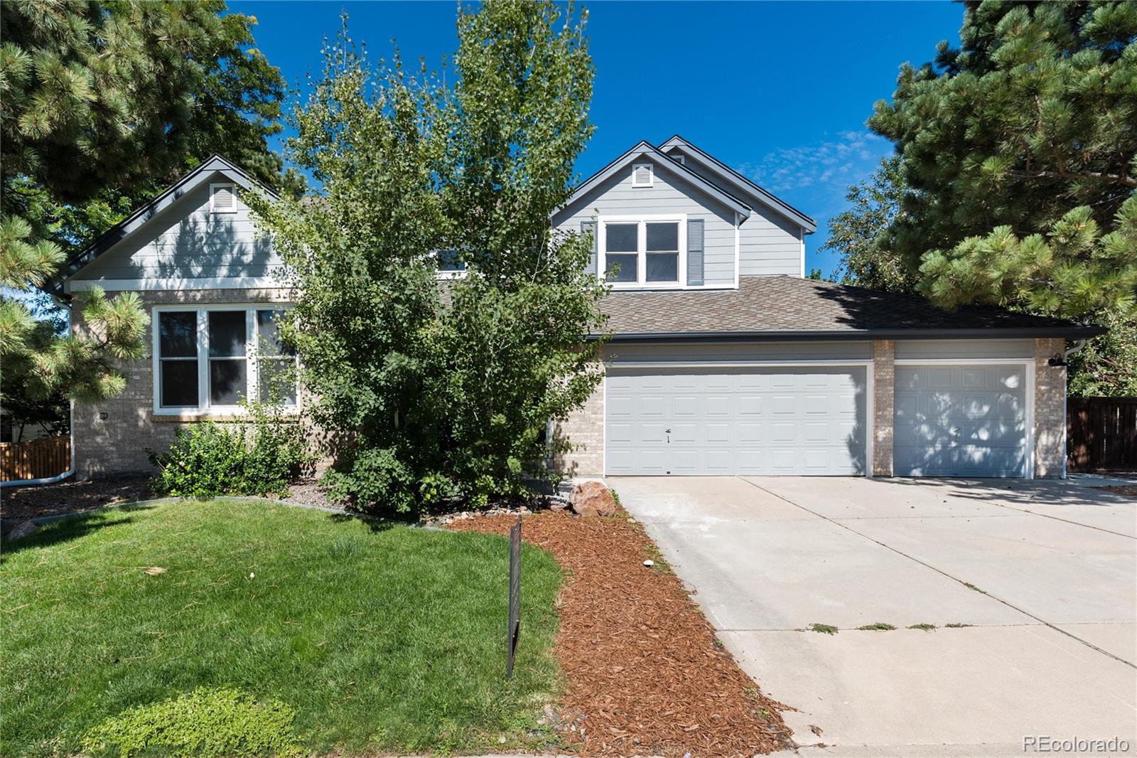 CMA Image for 9847  Falcon Creek Drive,Littleton, Colorado