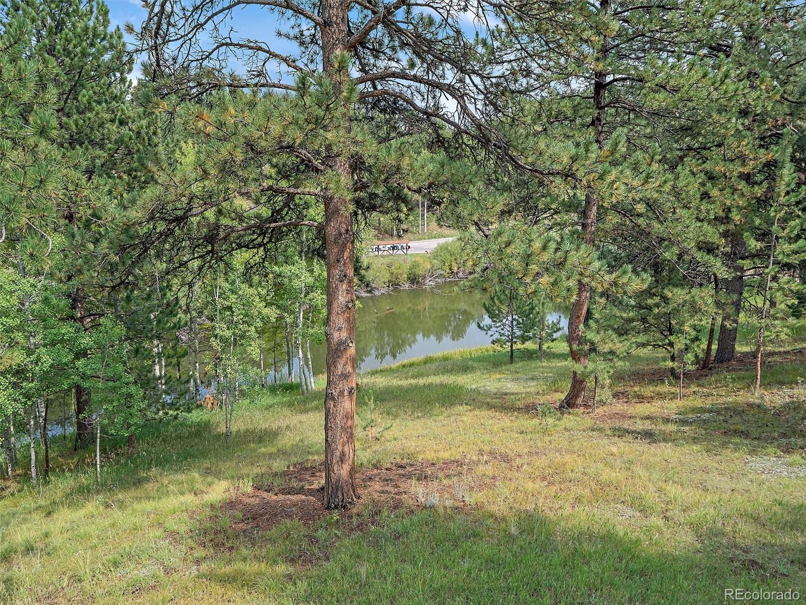 MLS Image #37 for 69  chickadee drive,bailey, Colorado