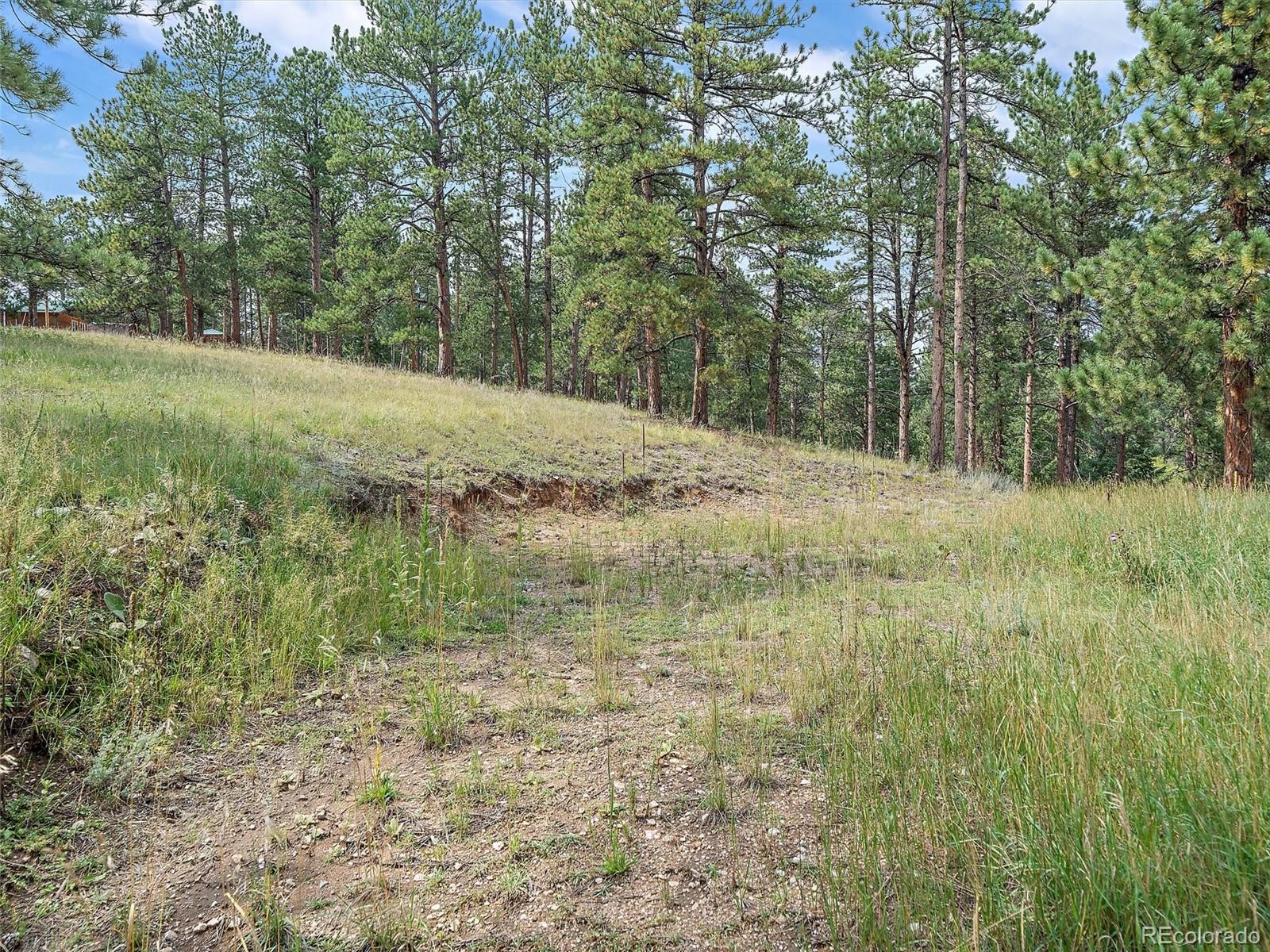 MLS Image #39 for 69  chickadee drive,bailey, Colorado