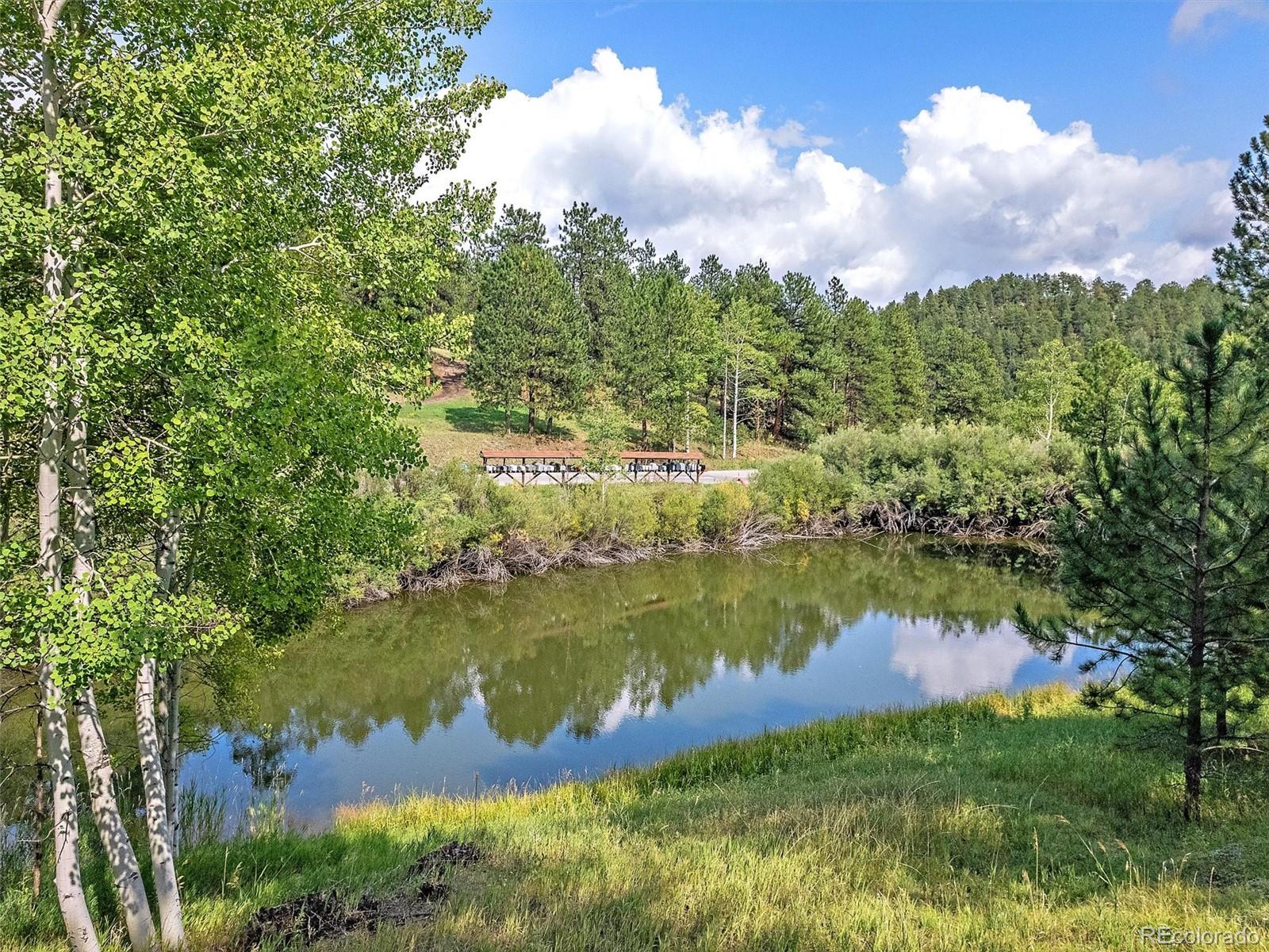 MLS Image #47 for 69  chickadee drive,bailey, Colorado