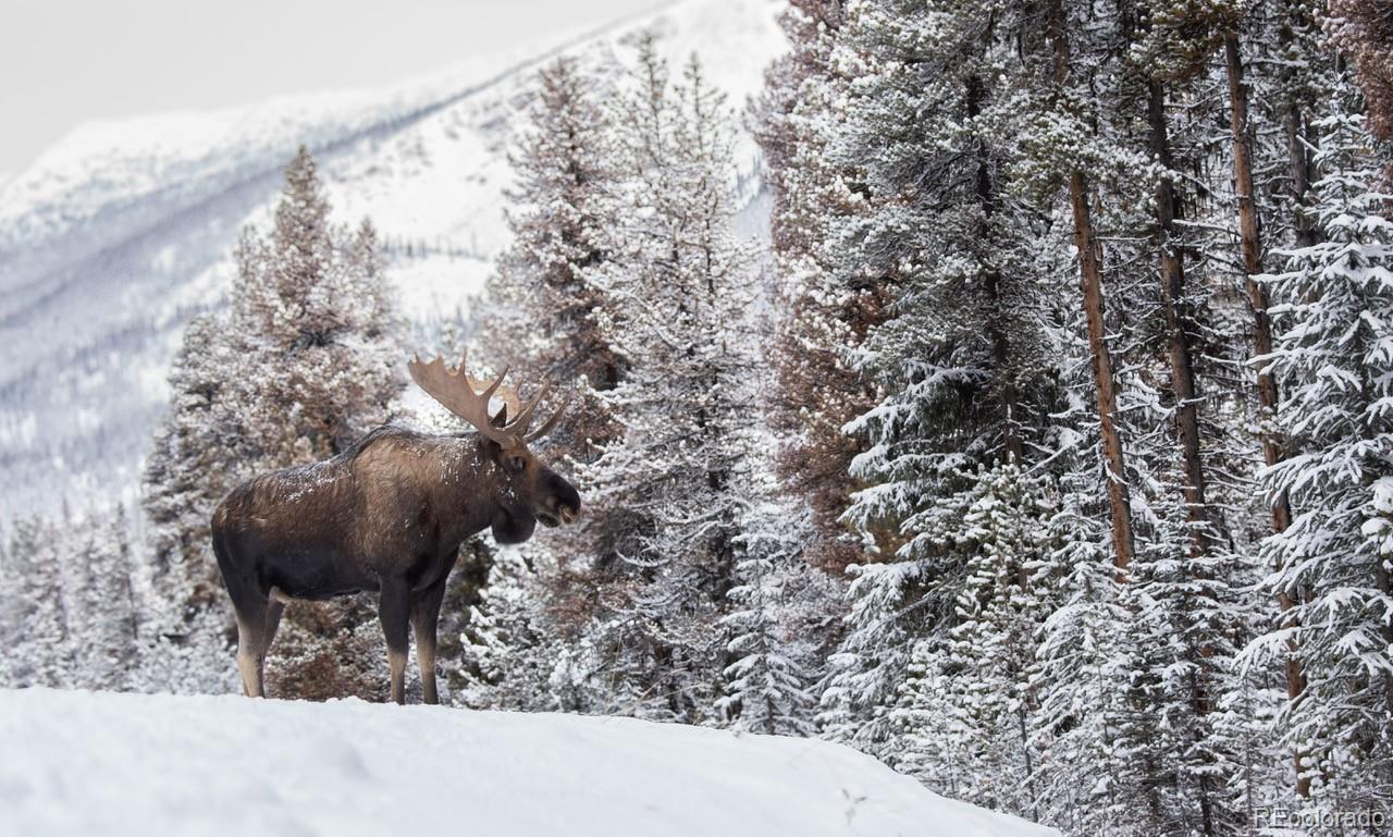 MLS Image #44 for 41  barton ridge drive,breckenridge, Colorado