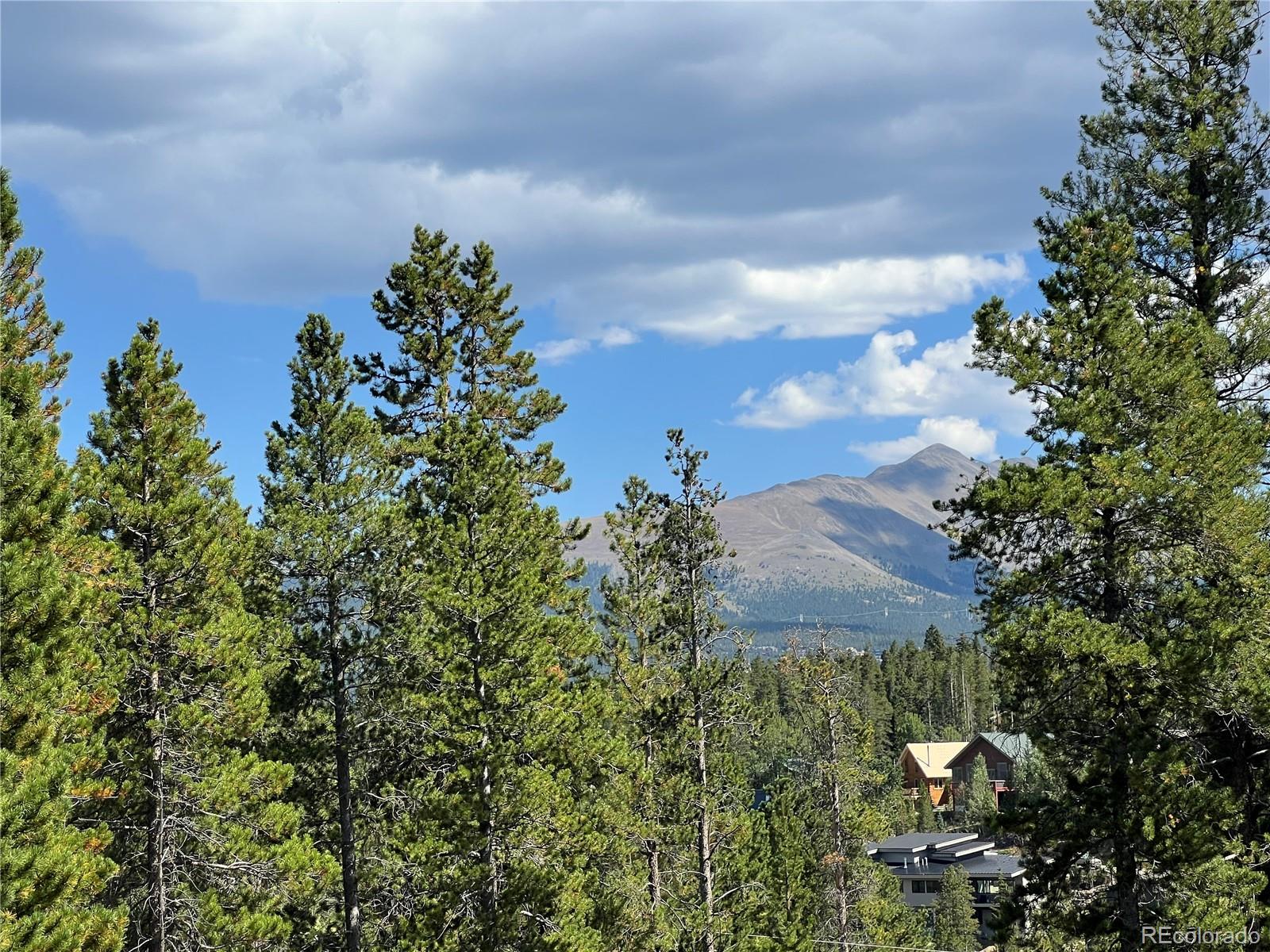 MLS Image #8 for 41  barton ridge drive,breckenridge, Colorado