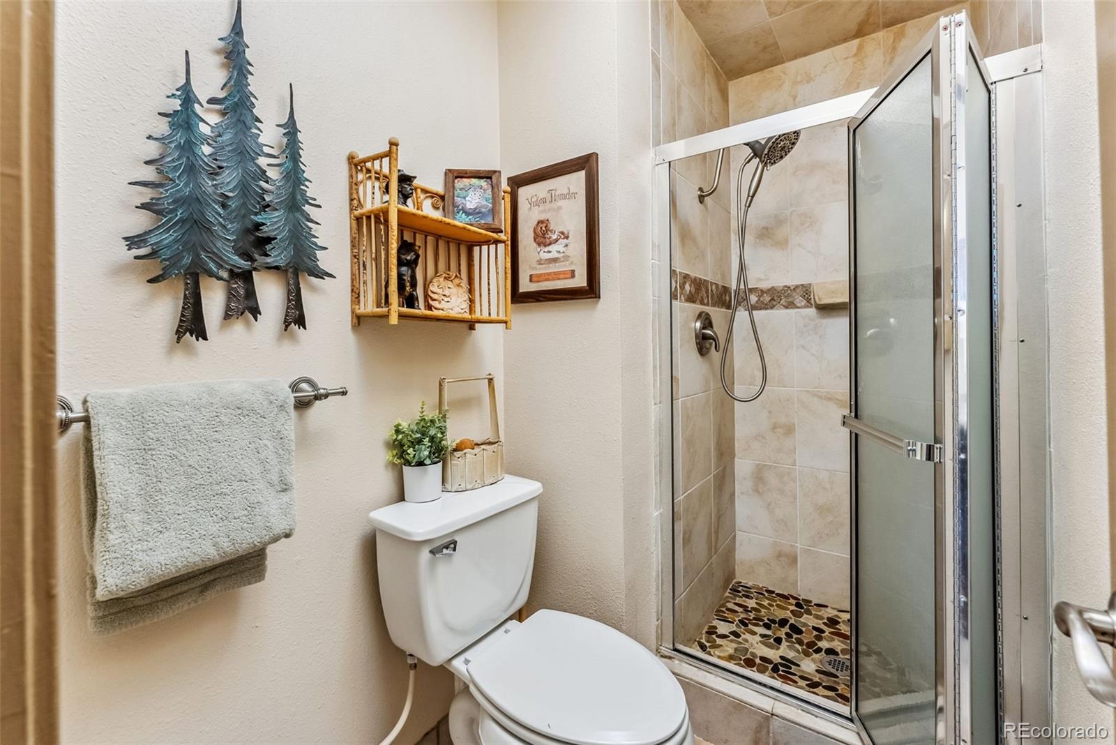 MLS Image #20 for 244  lodgepole street,dillon, Colorado