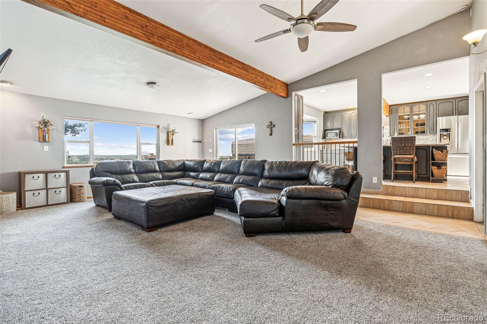 MLS Image #14 for 11539  donley drive,parker, Colorado