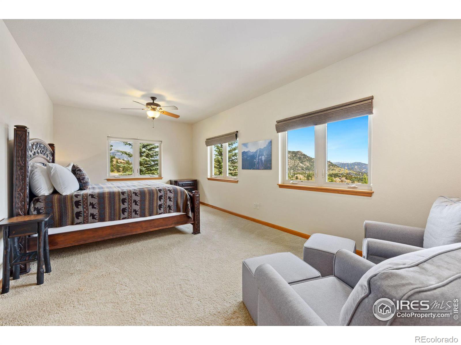 MLS Image #12 for 508  promontory drive,estes park, Colorado