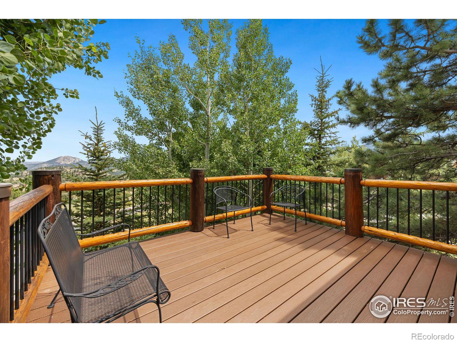 MLS Image #5 for 508  promontory drive,estes park, Colorado