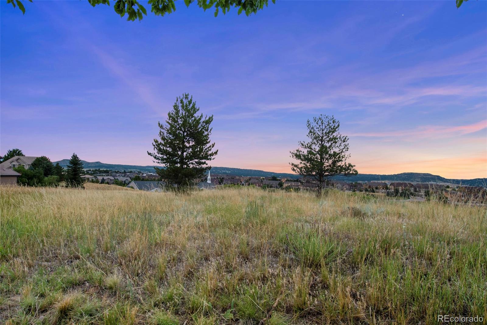 MLS Image #20 for 4041  blacktail court,castle rock, Colorado