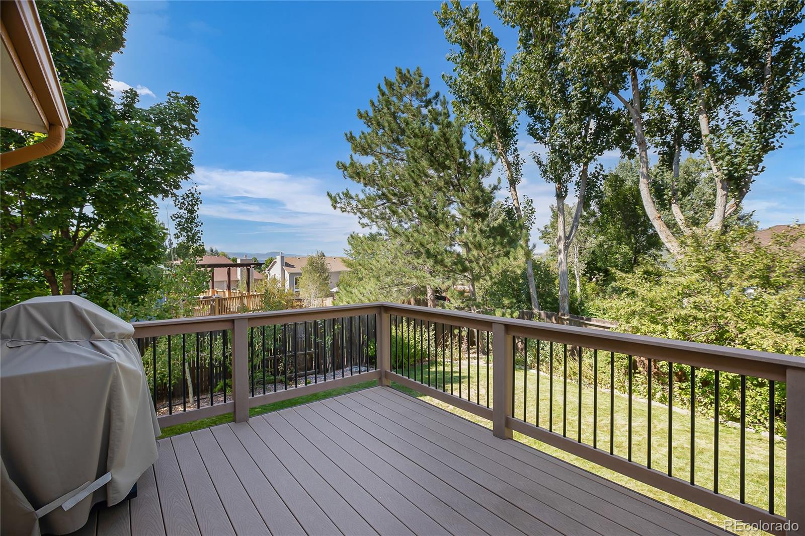 MLS Image #4 for 4330  dynasty drive,colorado springs, Colorado