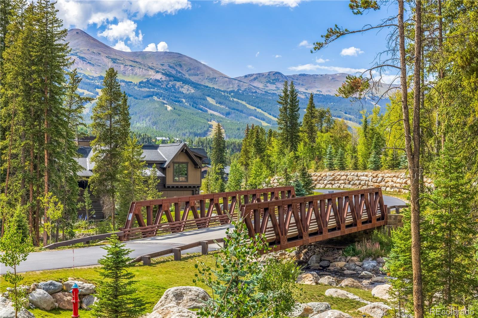 MLS Image #46 for 378  river park drive,breckenridge, Colorado