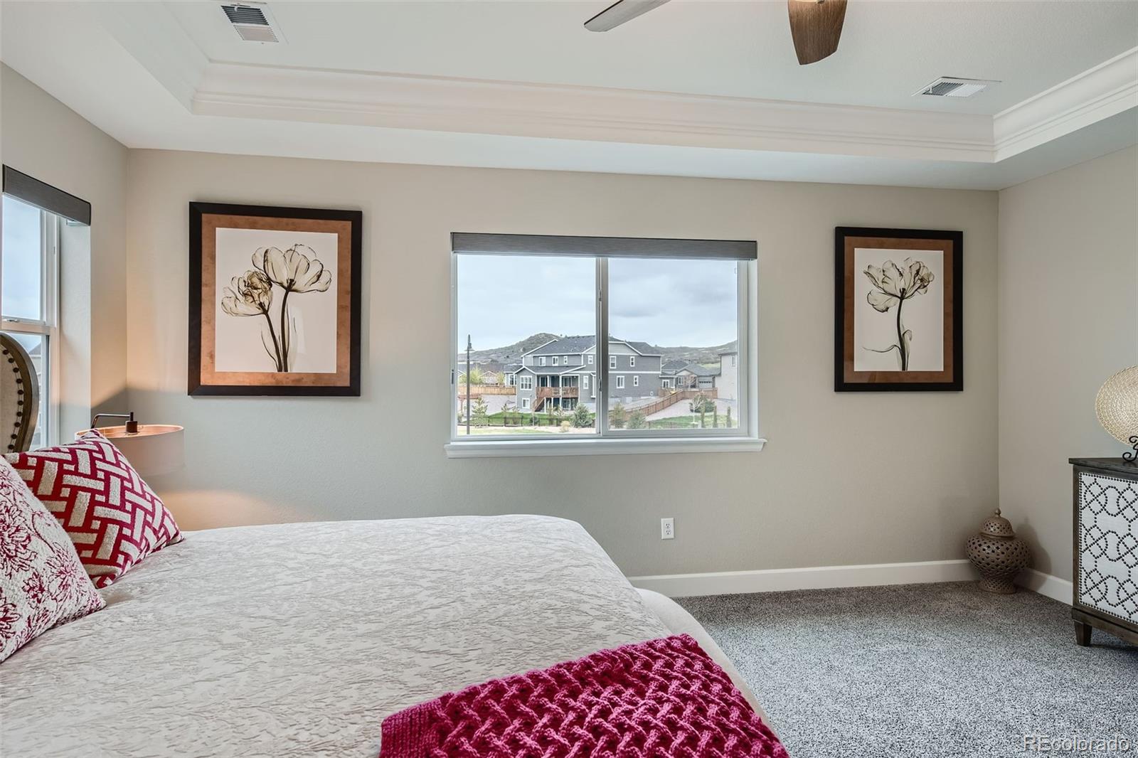 MLS Image #23 for 6458  lei lani drive,castle rock, Colorado